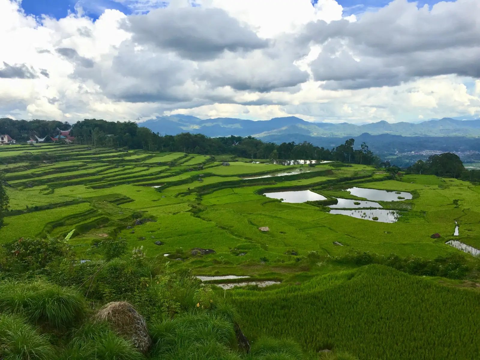 Terraced rice fields in the Toraja highlands under a clouded sky