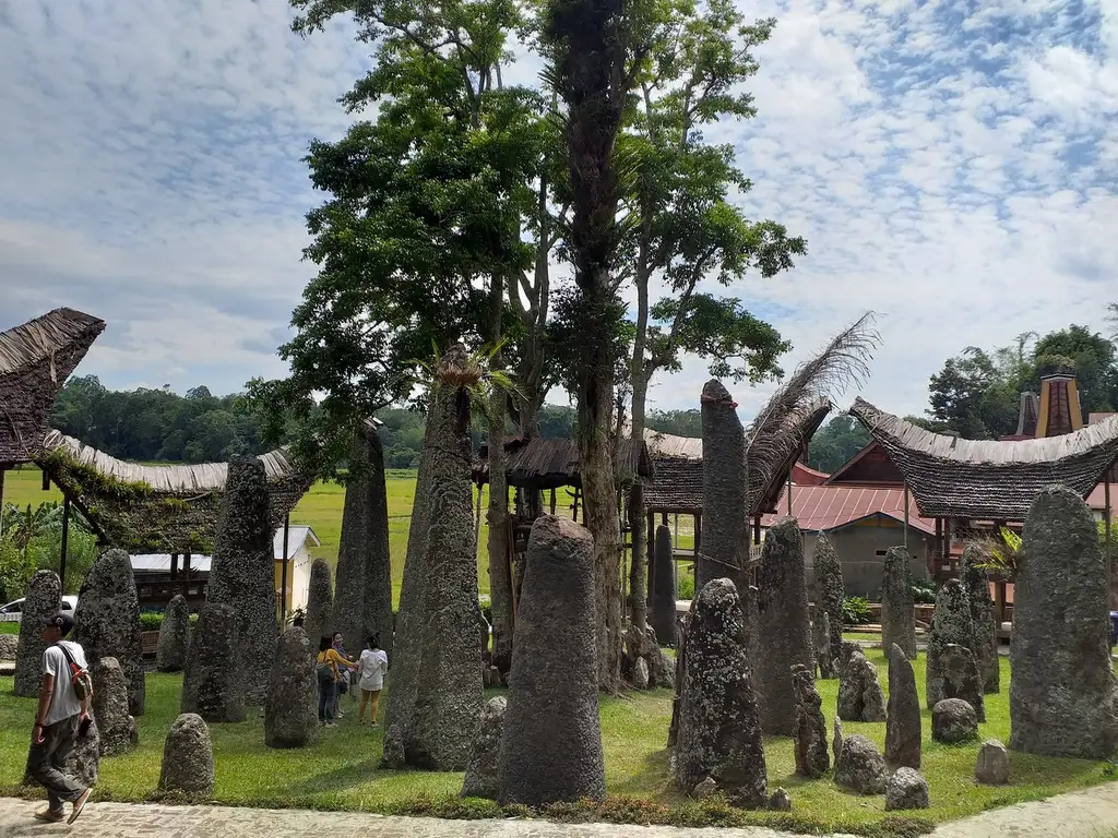 A field of upright megaliths under trees