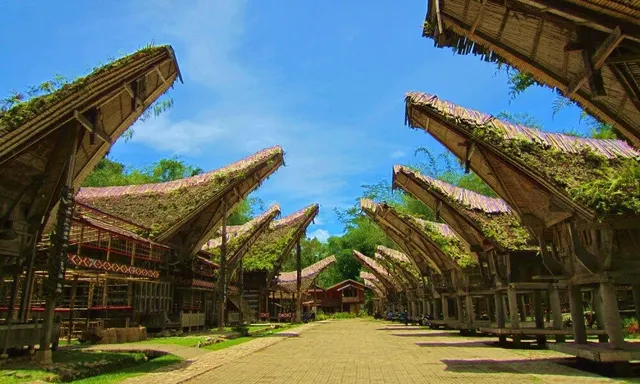 The row of tongkonan and rice barns at Kete Kesu