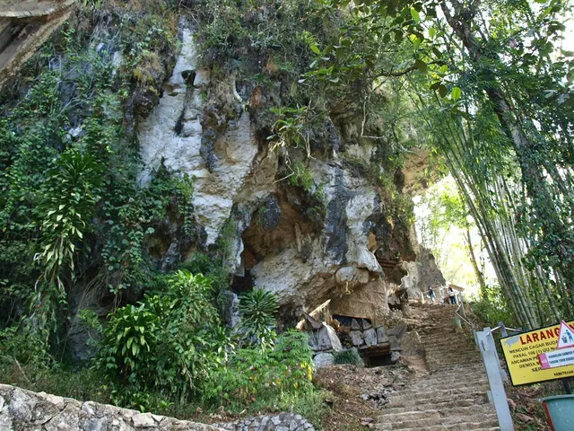 The limestone burial cliff at Kete Kesu with bamboo growing at its foot