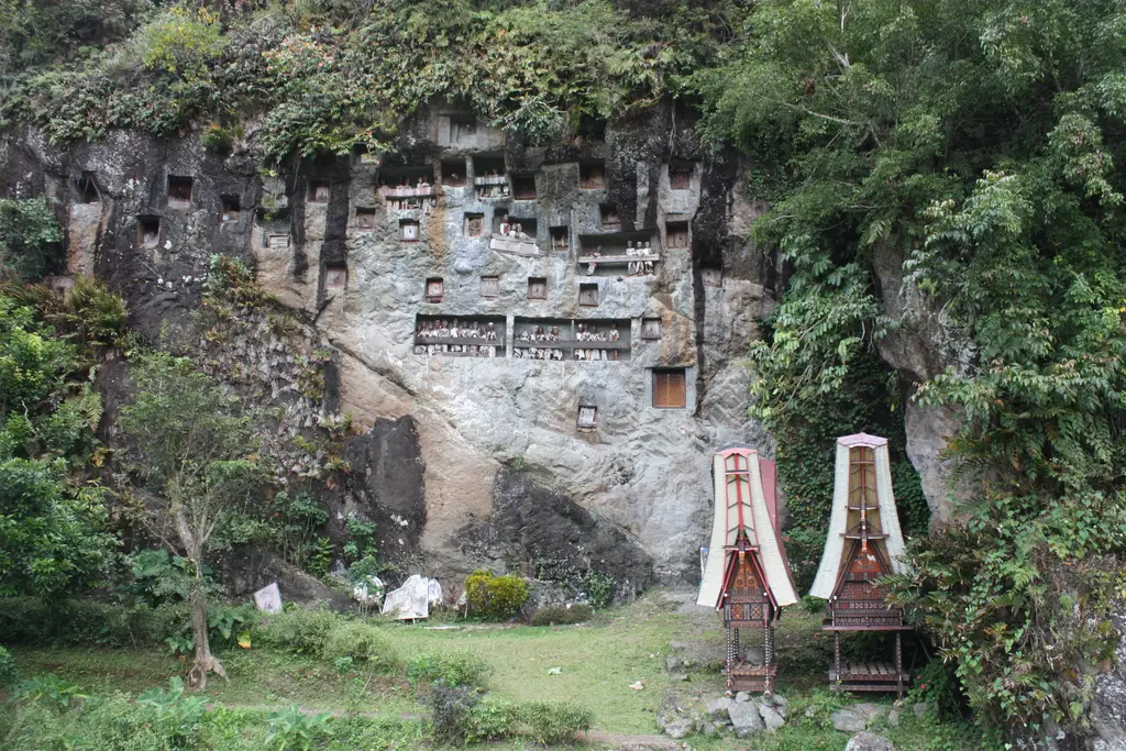 The cliff at Lemo, rows of rock-cut tomb openings above tongkonan-roofed shelters