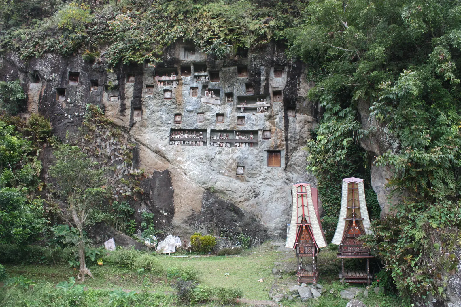 The cliff at Lemo, rows of rock-cut tomb openings above tongkonan-roofed shelters