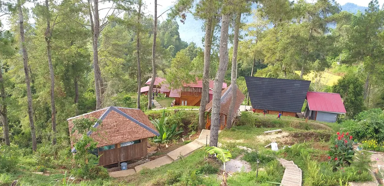 Timber cabins with red roofs among pines at Lolai