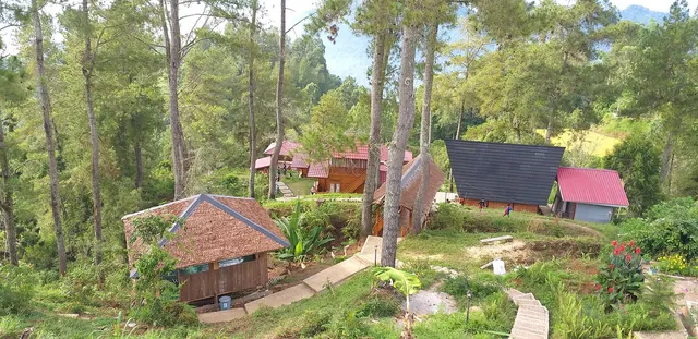 Timber cabins with red roofs among pines at Lolai