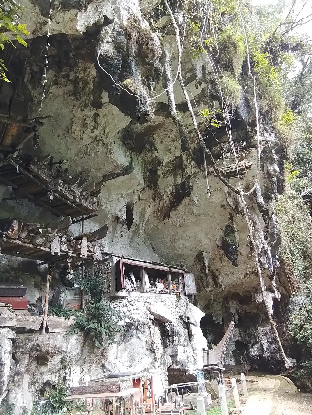 The limestone cliff at Londa with a burial gallery under an overhang