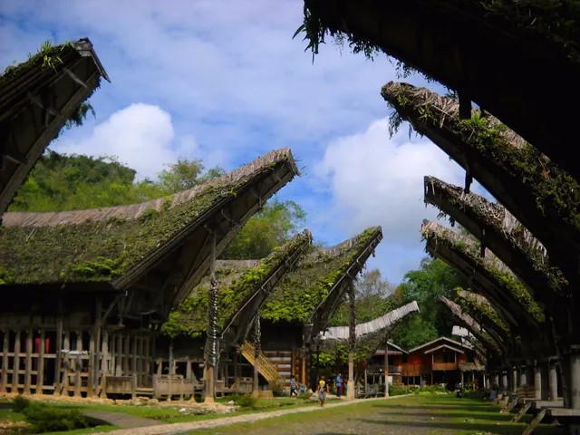 A row of tongkonan with steeply pitched roofs facing their rice barns