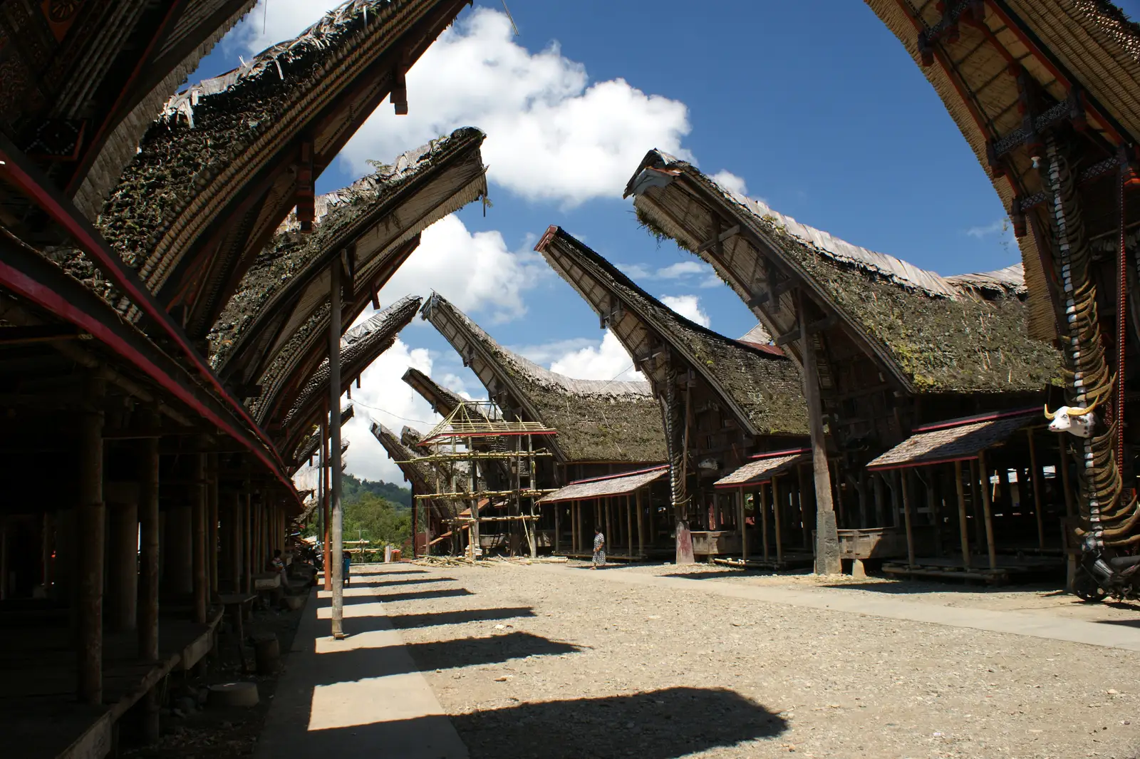 The row of tongkonan and rice barns at Palawa