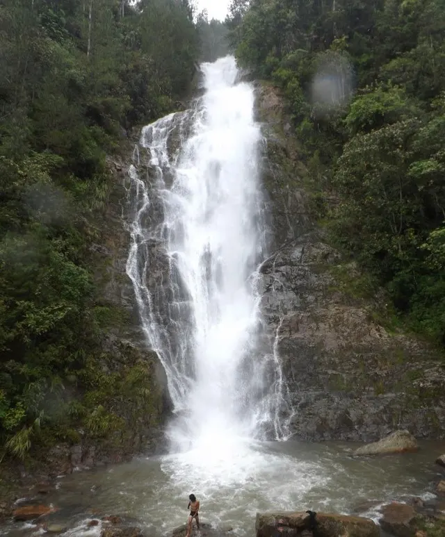 A tall waterfall dropping through forest
